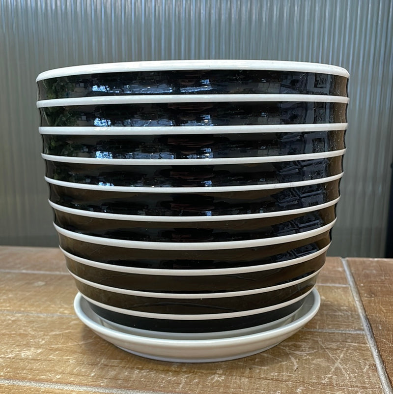 Black/White Striped Pot with Saucer