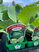 Cabbage - Chef Jeff 'Late’