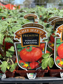 Tomato - Chef Jeff 'Carnival'