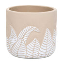 4.75-5.5" Fittonia Leaf Pot