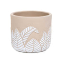 4.75-5.5" Fittonia Leaf Pot