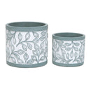 4.25-5.5" Laurel Leaf Mist Blue Pot