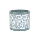 4.25-5.5" Laurel Leaf Mist Blue Pot