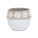 4.75" Windmill Daisy Grey Pot
