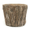 6" Tree Trunk Cement Pot