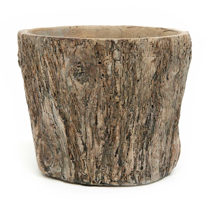 6" Tree Trunk Cement Pot