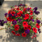 12” Assorted Flowering Hanging Basket