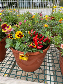 12" Fall Mix Patio Pot