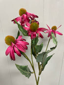 27” Assorted Colors Echinacea Stem