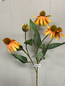 27” Assorted Colors Echinacea Stem