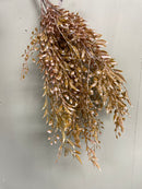 19" Frosted Orange Baby Tears Bush
