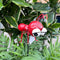Red Ant Metal Garden Stake