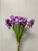 14” Real Touch Iris Bundle