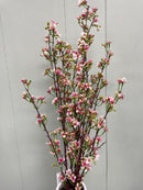 33” Premium Wax Flower Bundle