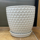 White Honeycomb Pot with Saucer