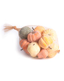 Mini Pumpkin Gourd Mix in Bag