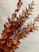 36" Rust Myrtle Leaf Bundle