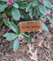 10" Large Face Weatherproof Copper Plated Plant Markers