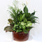 Indoor Mixed Dish Garden