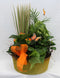 Indoor Mixed Dish Garden