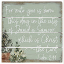 Luke 2:11 Slotted Board Decor