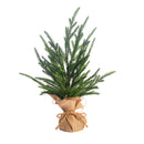 15-24" Austrian Pine Tree