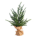 15" Austrian Pine Tree