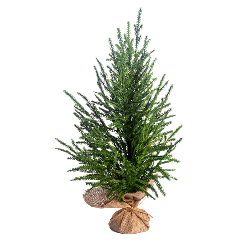 24" Austrian Pine Tree