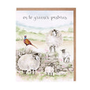 'Greener Pastures' Sheep Moving On Card