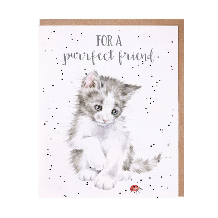 'Ladybird' Cat Friendship Card