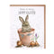 'Hoppy Easter' Rabbit Easter Card