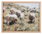 Sheep in Pasture Framed Wall Decor