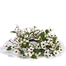 4" White Dogwood Candle Ring