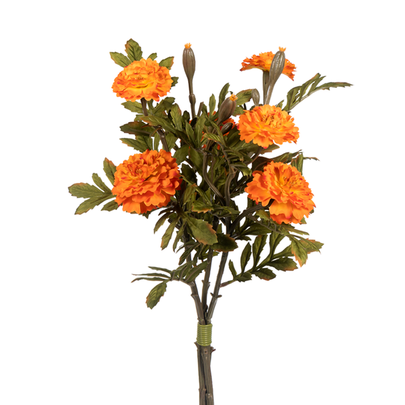 22" Fall Marigold Bundle