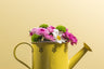 The Grainery: Indiana Garden Center and Florist logo
