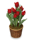 Tulip Spring Potted Basket