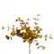 Small Fall Eucalyptus Bush
