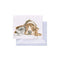 'Dog and Catnap' Basset Hound & Cat Gift Enclosure Card