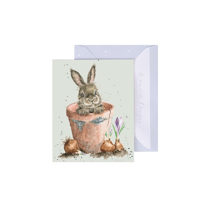 'Flower Pot Bunny' Rabbit Gift Enclosure Card