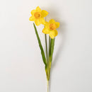 21" Golden Yellow Daffodil Delight