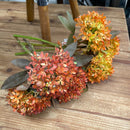 12" Autumn Allium Bundle