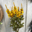 22" Autumn Delphinium Bush