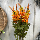 22" Autumn Delphinium Bush