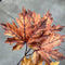 27" Autumn Maple Leaf Stem