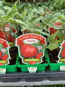 Tomato - Chef Jeff 'Big Beef'