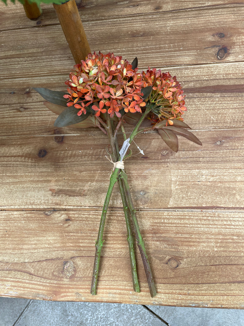 12" Autumn Allium Bundle