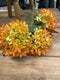 12" Autumn Allium Bundle