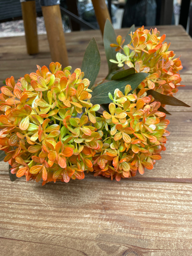 12" Autumn Allium Bundle