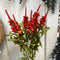 22" Autumn Delphinium Bush