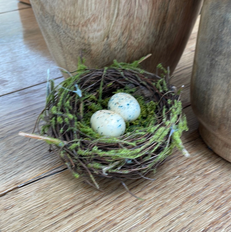 5" Cream Egg Moss and Twig Nest